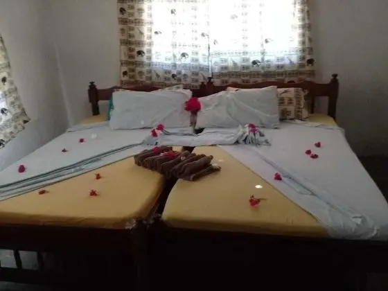 Wasini Dolphin Divers Lodge - Hostel - Oda