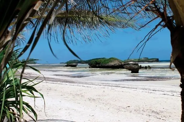 Watamu Palm Beach - Plaj