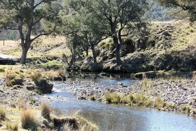 Waterfall Way Farmstay - Dış Mekan