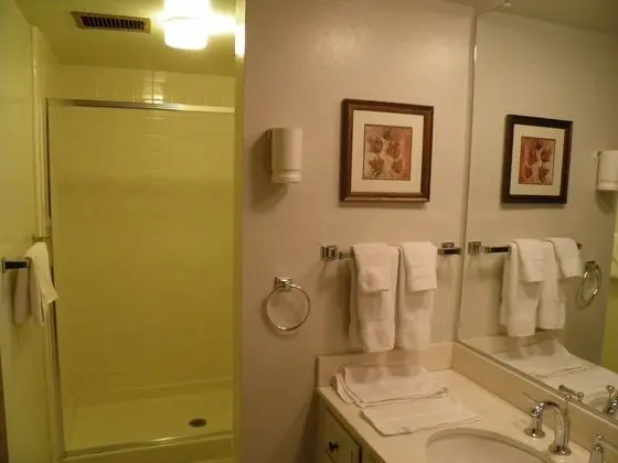 Waterfront Condo With Balcony, Private Boat Dock - Banyo Tipleri