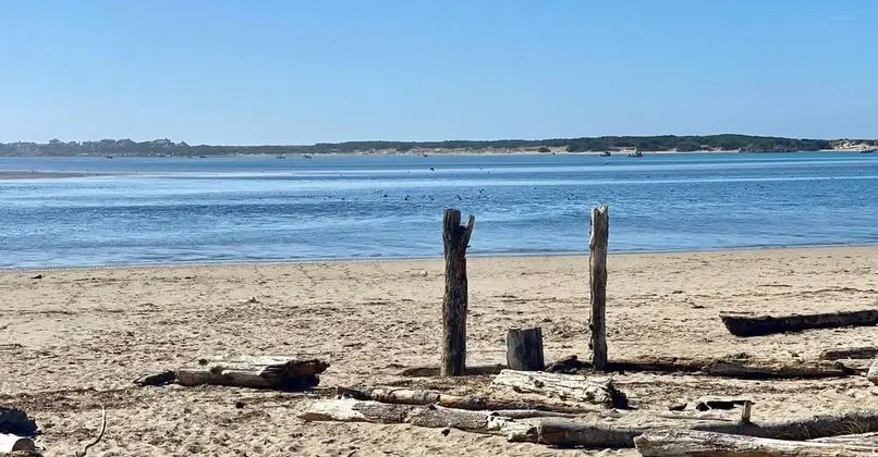 Waters Edge 101 Ocean Front - Plaj