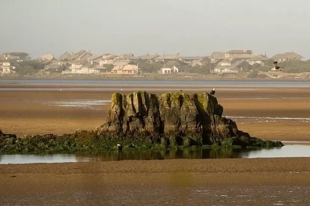 Waters Edge 104 - Plaj