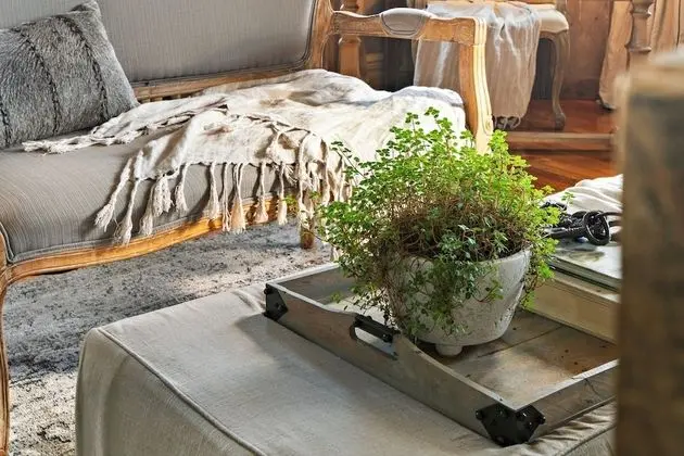 The Watson Boutique Bed & Breakfast - Lobi