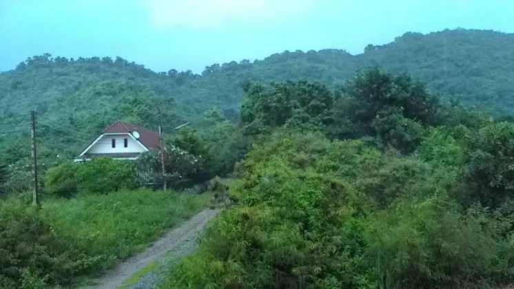 Wattana Hill Resort - Oda Manzaraları