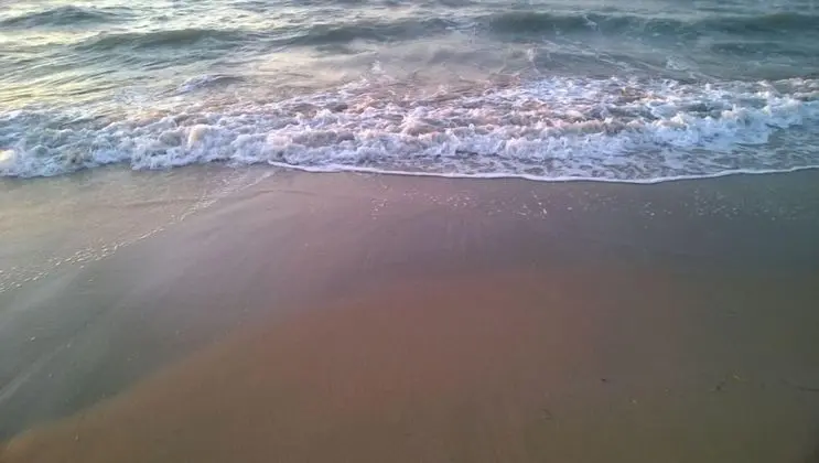 The Wave - Plaj