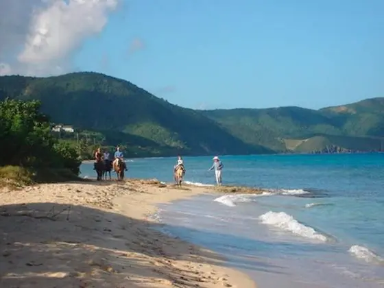 The Waves at Cane Bay - Plaj