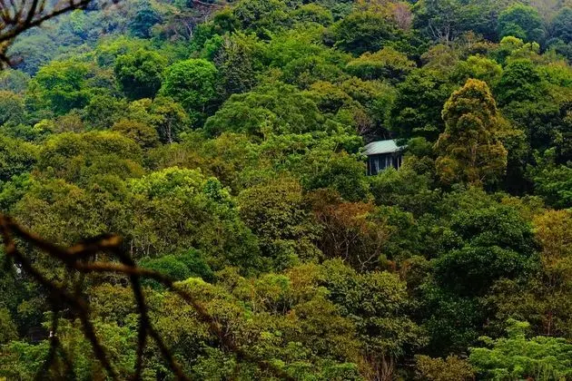 Wayanad Wild Rainforest lodge by CGH Earth - Dış Mekan