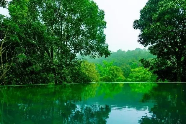 Wayanad Wild Rainforest lodge by CGH Earth - Havuz