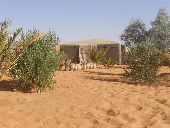 We Offer Accommodation in Traditional Tente Camp - Dış Mekan