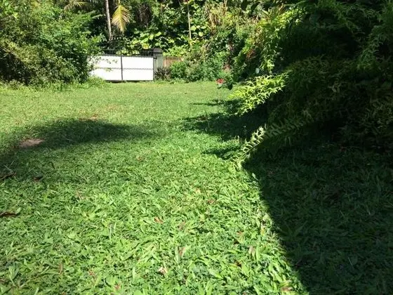 Weeragiri Homestay - Dış Mekan