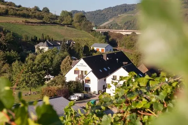 Weinhotel Klostermühle - Dış Mekan