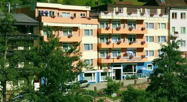 Hotel Weingärtner - Genel