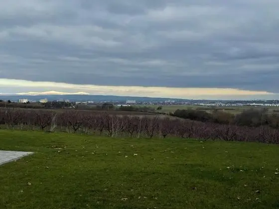 Weingut Bugner Meizelhof - Dış Mekan