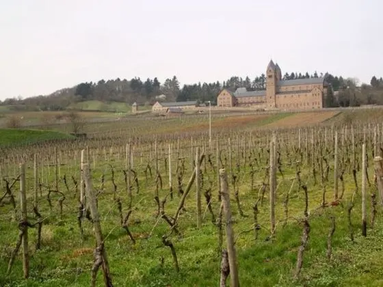 Weingut Jacob Lill IV. Nachfolger