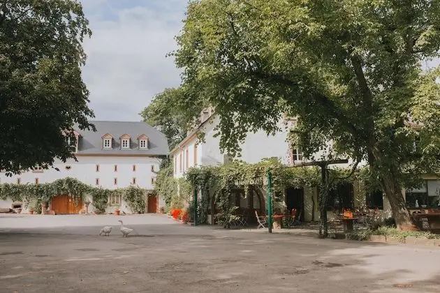 Hotel-Weingut Karlsmühle - Dış Mekan