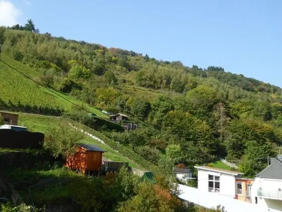 Weingut Krempel Traben-trarbach - Oda