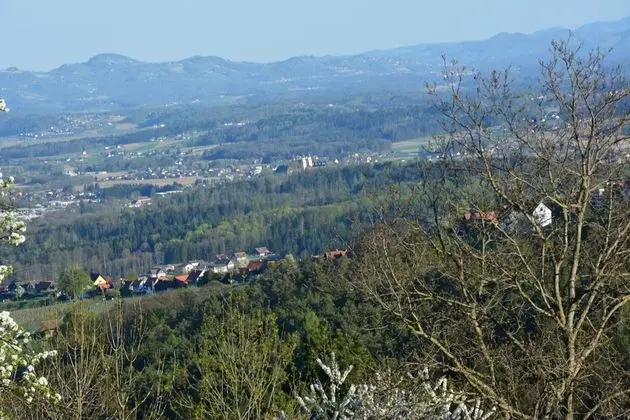 Weingut Seiner vlg. Kraxner - Genel
