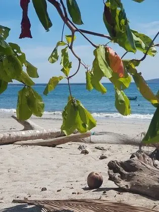 Welcome to House Beach and River - Plaj