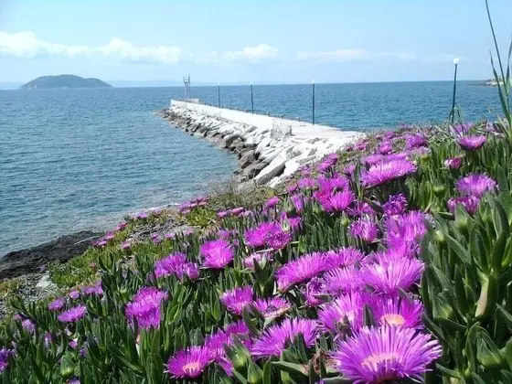 Welcome To Hotel Petunia, In Neos-marmaras,xalkidiki ,greece, Double Room 6