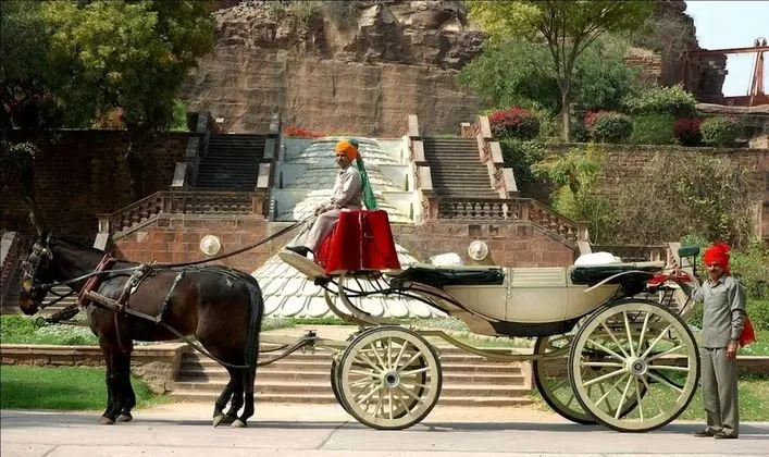 WelcomHeritage Bal Samand Lake Palace