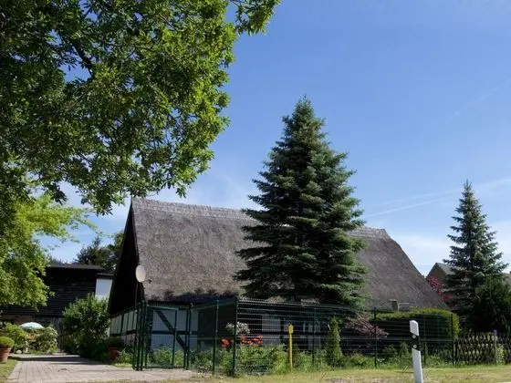Welcoming Holiday Home in Gegensee near Szczecin Lagoon - Öne Çıkan Resim