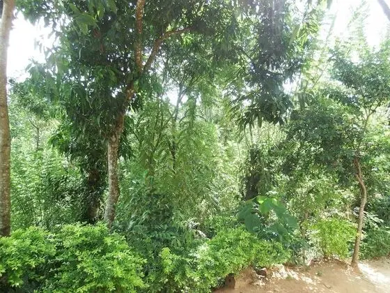 Welikande Hotel and Trekking Center - Dış Mekan