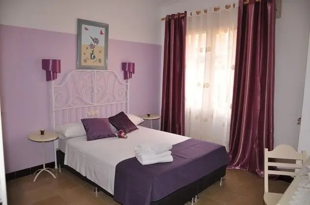 Wellamar Hotel & Apartments - Öne Çıkan Resim
