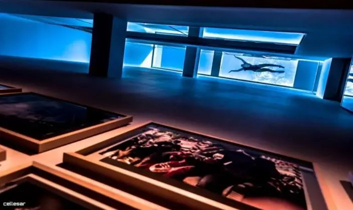 Welldone Quality - Crystal Pool