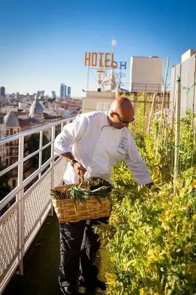 Wellington Hotel & Spa Madrid - Dış Mekan