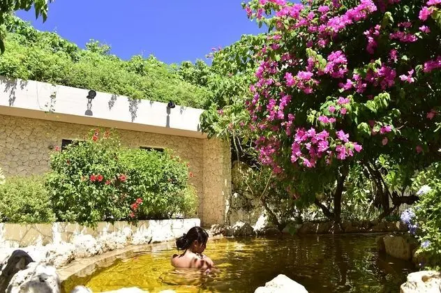 Wellness Villa BRISA - Spa
