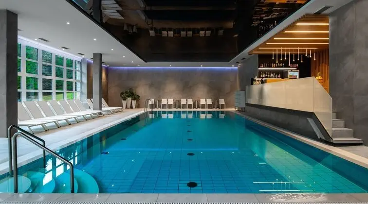 Wellness hotel Svornost - Havuz