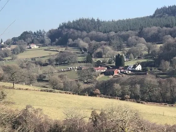 Welsh Marches at Upper Glyn Farm