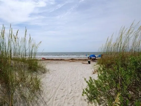 Wendover Dunes 8113 - Plaj