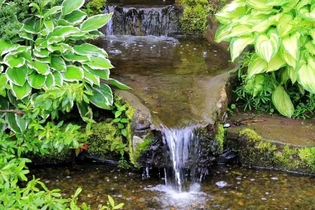 Westacre Bed & Breakfast - Dış Mekan
