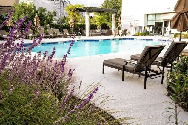 The Westin Austin at The Domain - Havuz