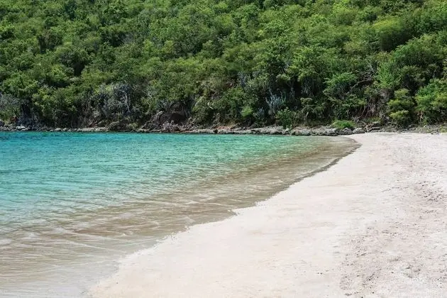 The Westin St. John Resort Villas - Plaj