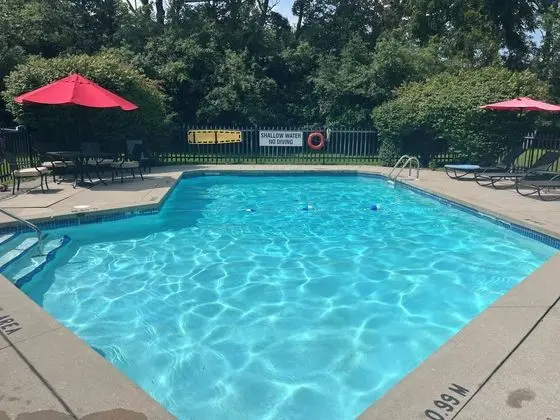 Westover Inn - Havuz