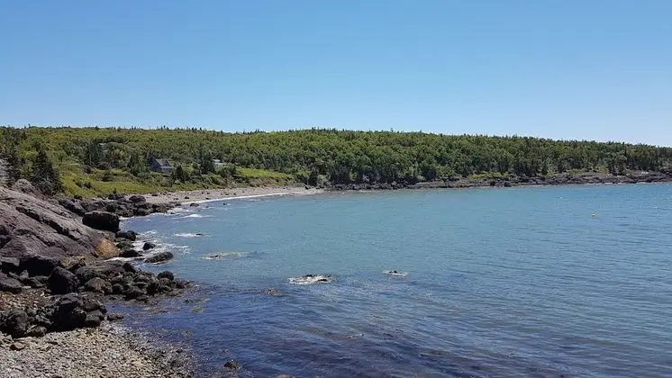 Whale Cove Inn - 1