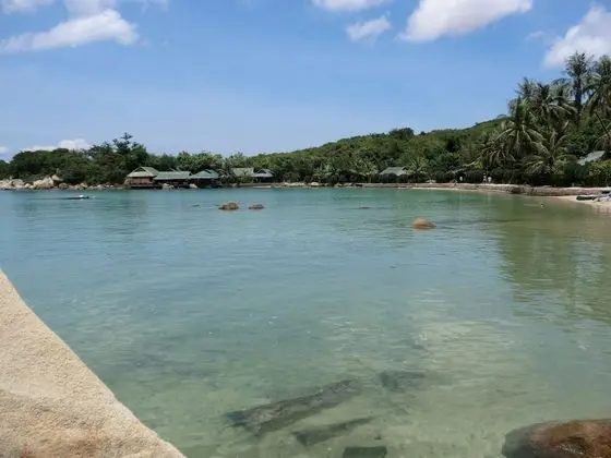 Whale Island Resort - Plaj