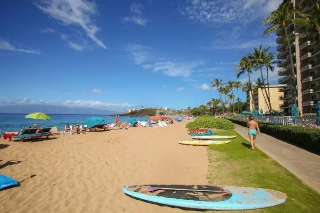Whaler On Kaanapali 763 Studio Bedroom Condo by Redawning - Plaj