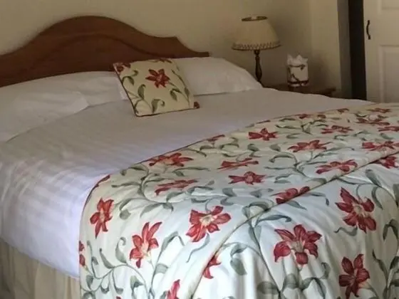 Whashton Springs Farmhouse B&B