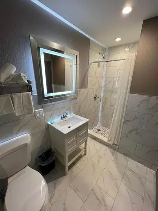 Wheeler Hotel - Banyo Tipleri