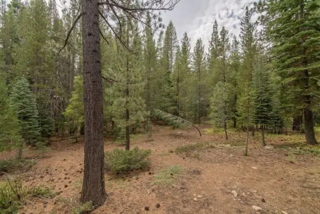 Whiskey Springs by Avantstay Classic Cabin Near Tahoe Donner Ski Area! - İç Mekan