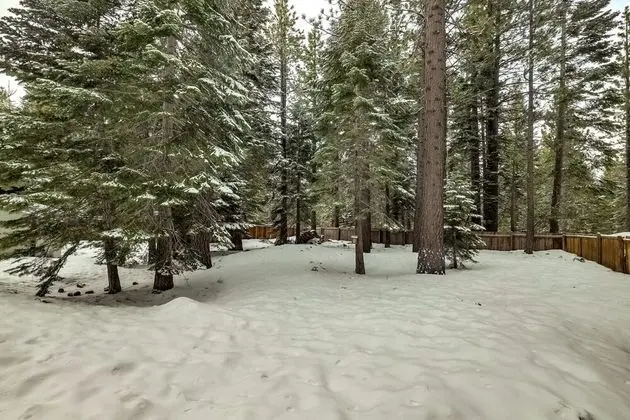 Whispering Pines Cabin - Dış Mekan
