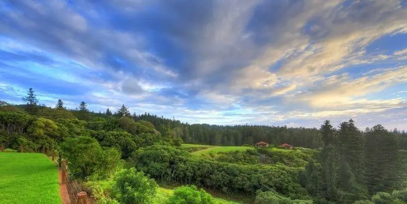 Whispering Pines Luxury Cottages