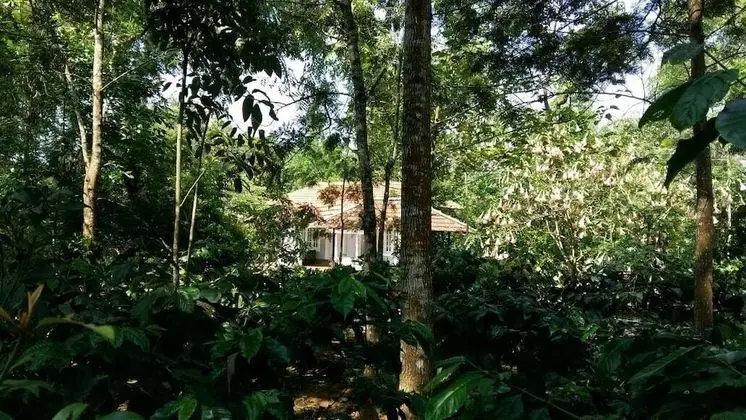 Whispering Woods by Rai Hospitalities - Dış Mekan