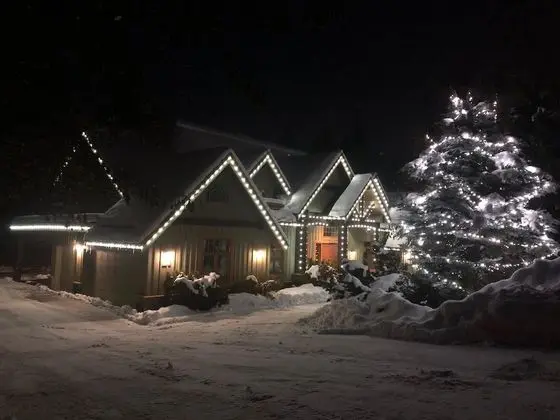 Whistler Alpine Chalet - Dış Mekan