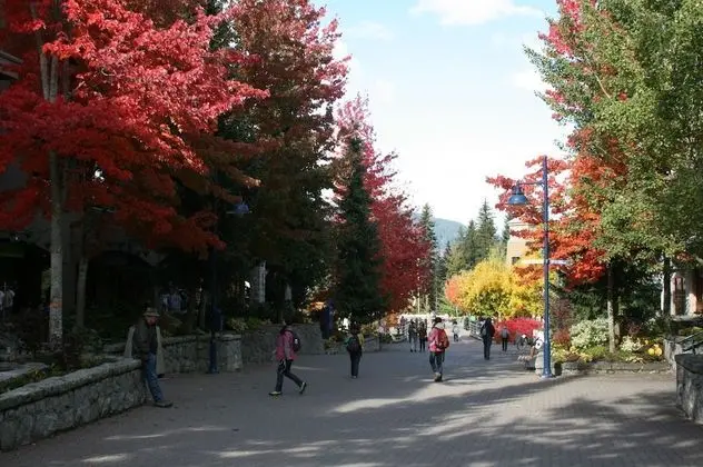 Whistler Blackcomb VR at Town Plaza - Dış Mekan