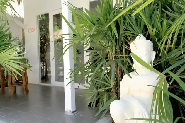 The White Cottage - Dış Mekan