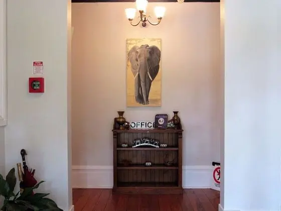 The White Elephant Accommodation - İç Mekan